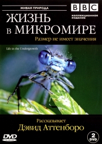 Постер «Жизнь в микромире»