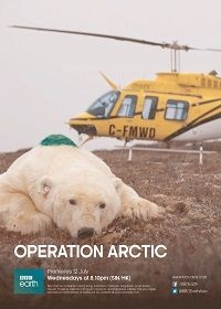 Постер «Арктика. Как живут за Полярным кругом»