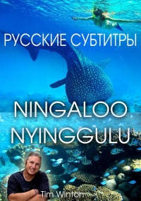 Постер «Нингалу»
