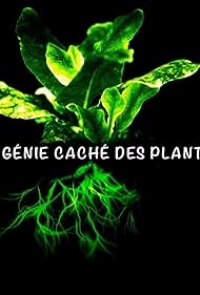 Постер «Тайна гениальных растений»